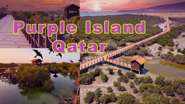 Purple island Qatar named top 50 in the world